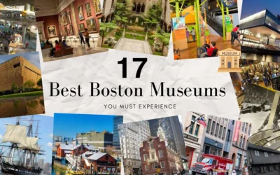 17 Boston Museums You Must Experience at Least Once